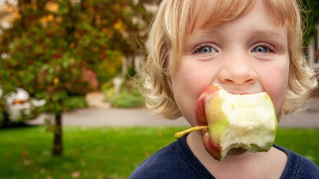 Preschool-age child biting an apple